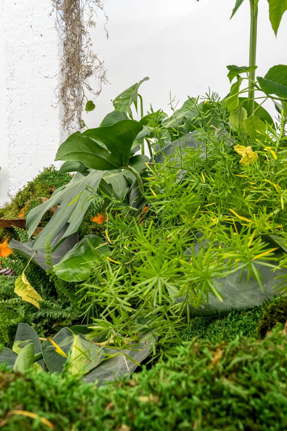 Peculiar Movements/Green Junctions at NAMARA projects